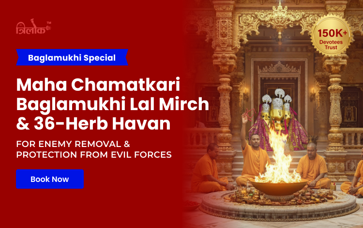 Maha Chamatkari Baglamukhi Lal Mirch & 36-Herb Havan